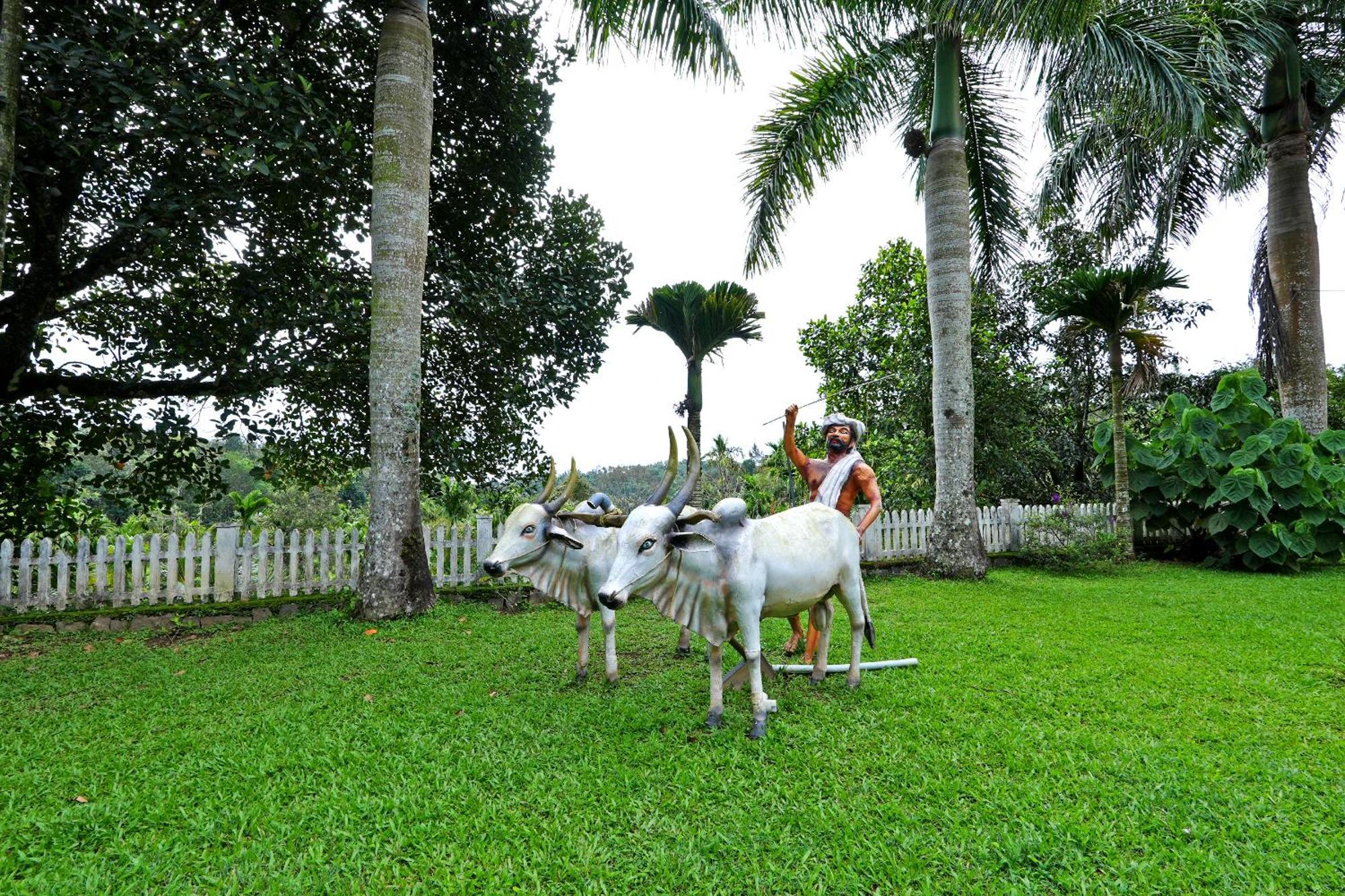 Leisure Homestay - Pool, Boating, Zipline, Home Food, Estate Chikmagalur Exterior photo