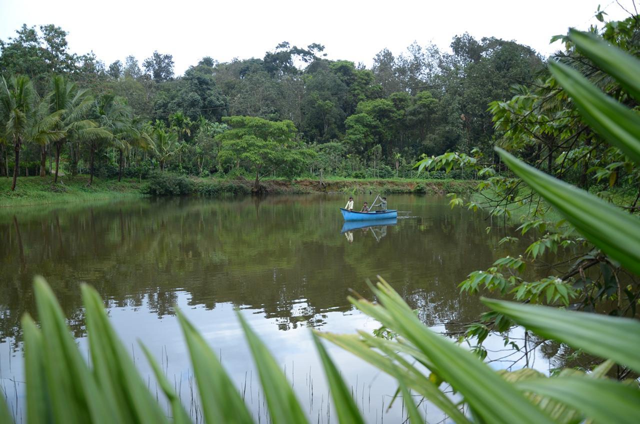 Leisure Homestay - Pool, Boating, Zipline, Home Food, Estate Chikmagalur Exterior photo